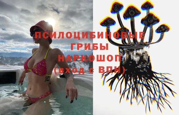 мдпв Зеленокумск